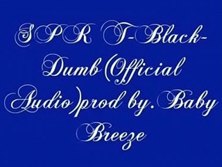 SPR T-Black- Dumb